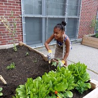 $1,500 Awarded to Growing Gardeners Club